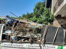  Zionsville, IN Junk Removal Pros